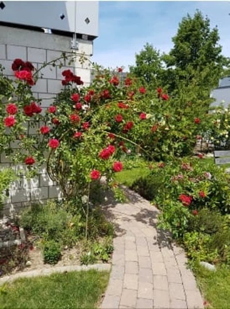 Family-friendly 4.5-room apartment in Müntschemier (13)