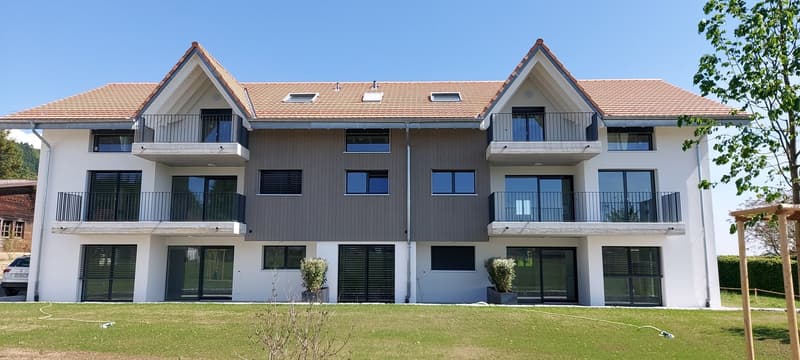Secure your dream home now! Last 3.5-room attic apartment in Brüttelen (1)