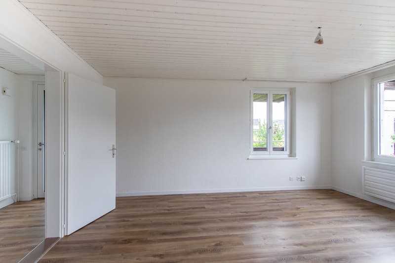 Charmante 3-Zimmer-Altbauwohnung im ruhigen Merlach – sofort verfügbar (9)