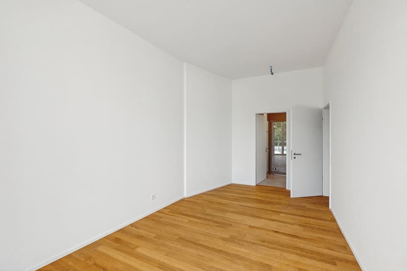 Bleiben. Arbeiten. Leben - Elegante Wohnungen im Herzen von Locarno (9)