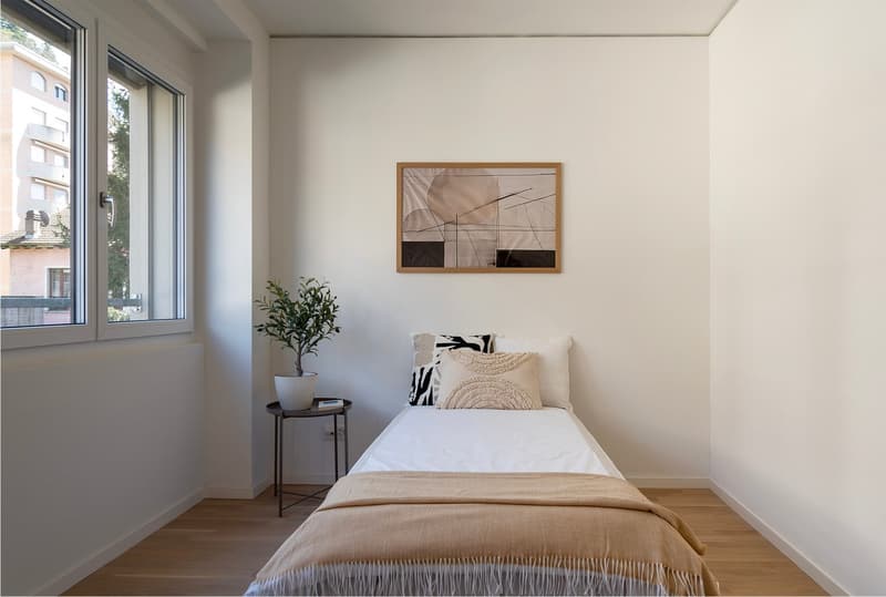 single bed, white walls, wooden floor, window, plant, picture frame, side table