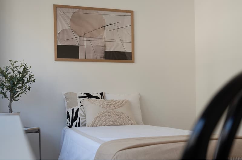 A small bedroom with a single bed, white walls, a framed abstract painting, a small potted plant, and a side table.