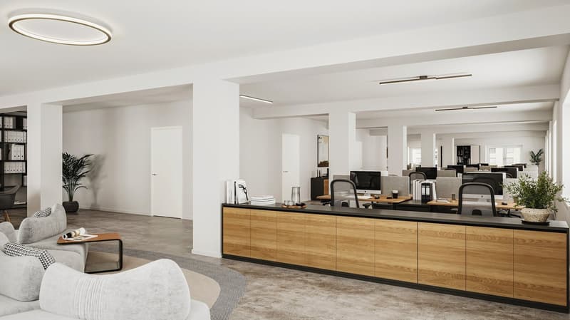 Piazza Cioccaro Living –  Il vostro ufficio nel cuore di Lugano (4)