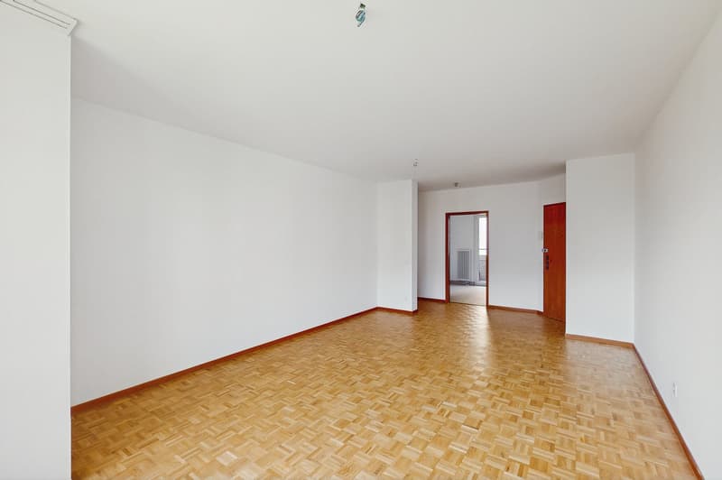 Charmant und komfortabel in Viganello (5)