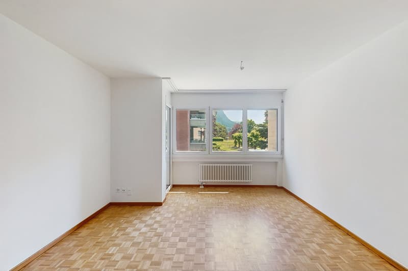 Viganello da vivere - Splendido 3.5 locali vicino a ogni comodità (4)