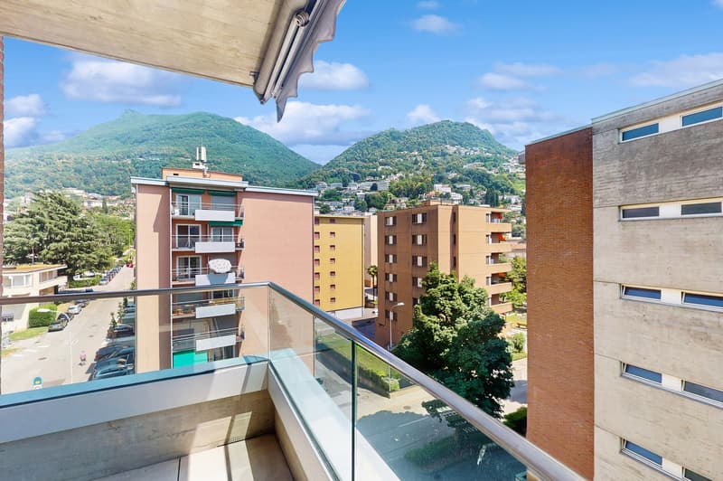 Soleil, tranquillité et confort à Viganello (4)