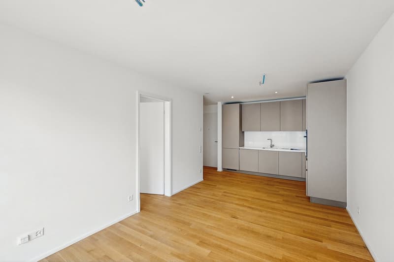 Le Corti: Une nouvelle idée d'habiter au centre de Locarno - avec cour privée (2)