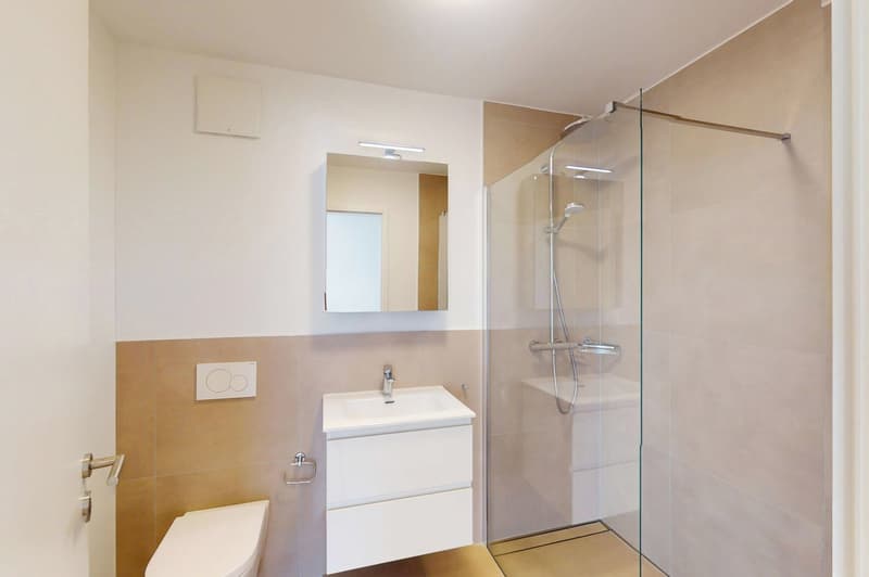 Exklusives 3.5-Zimmer-Apartment mit Seeblick im Herzen von Locarno (9)