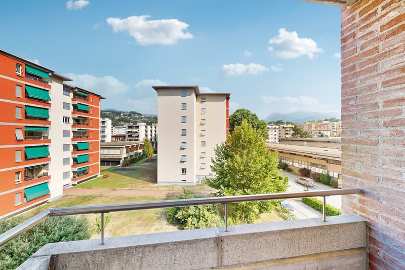 Sole, tranquillità e comodità a Viganello (12)