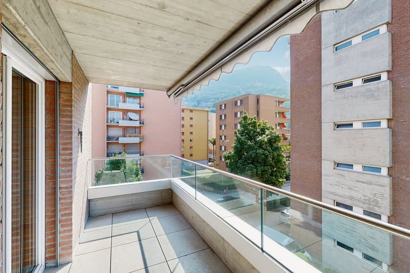 Sole, tranquillità e comodità a Viganello (13)