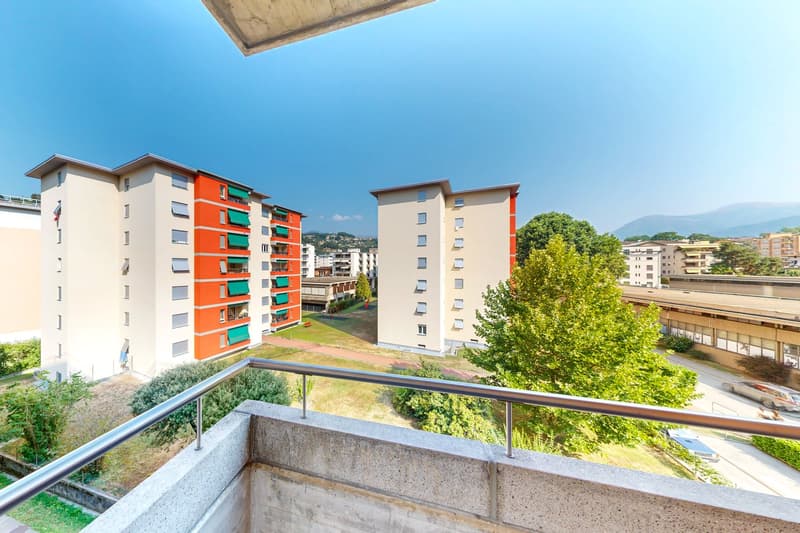Sole, tranquillità e comodità a Viganello (18)