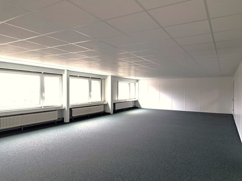 empty room with windows, white ceiling, white walls, heating radiators, carpeted floor