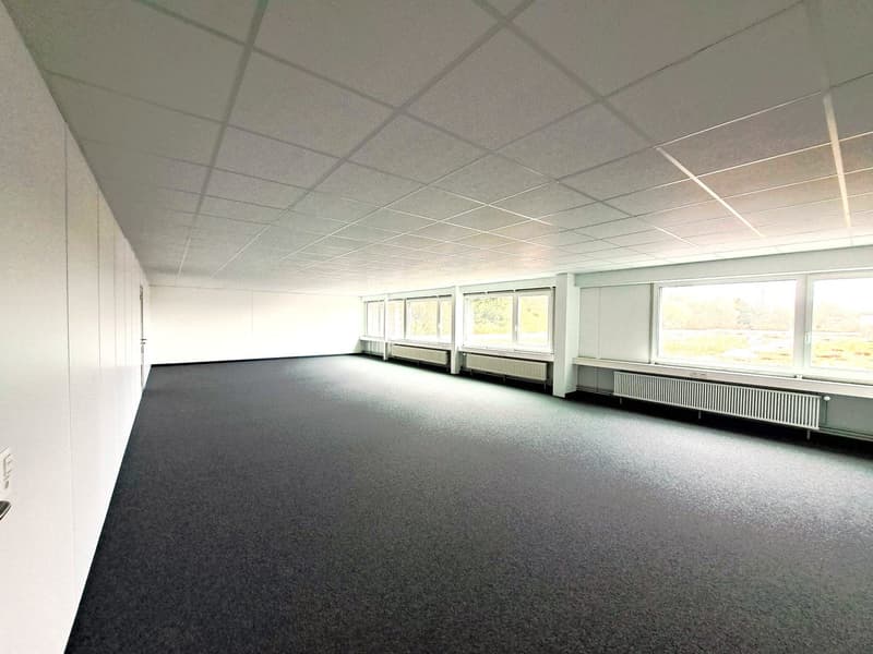 white walls, ceiling, white floor, three large windows with white frames, radiators