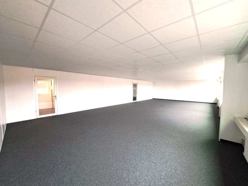 Empty room, white walls, gray floor, two doors, square tiles on ceiling