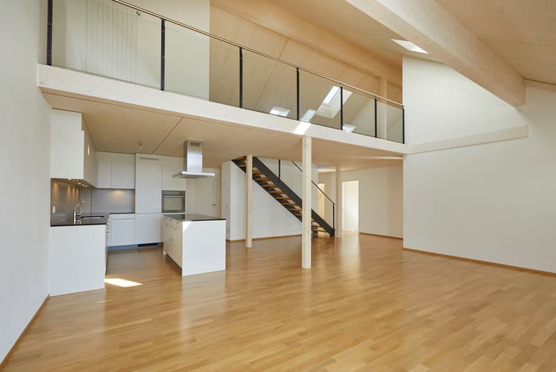 Zu vermieten 5.5-Zimmer-Dachwohnung mit Galerie 300 m2 (1)