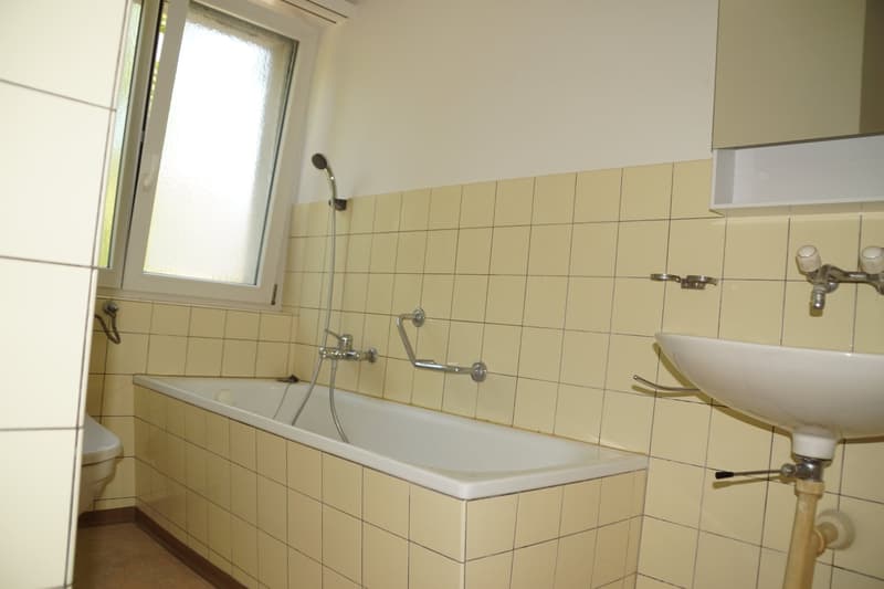 Appartement lumineux de 1,5 pièces à Soleure – disponible immédiatement (4)