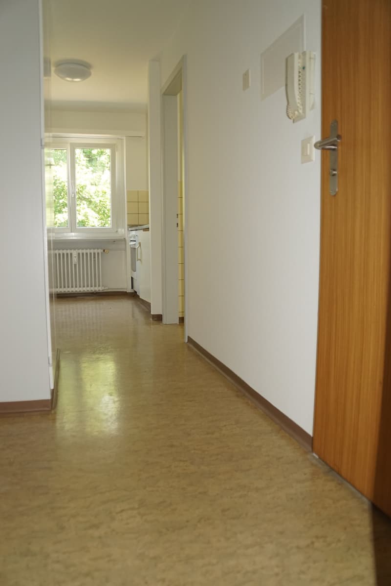 Appartement lumineux de 1,5 pièces à Soleure – disponible immédiatement (2)