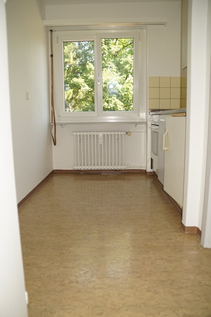 Appartement lumineux de 1,5 pièces à Soleure – disponible immédiatement (3)