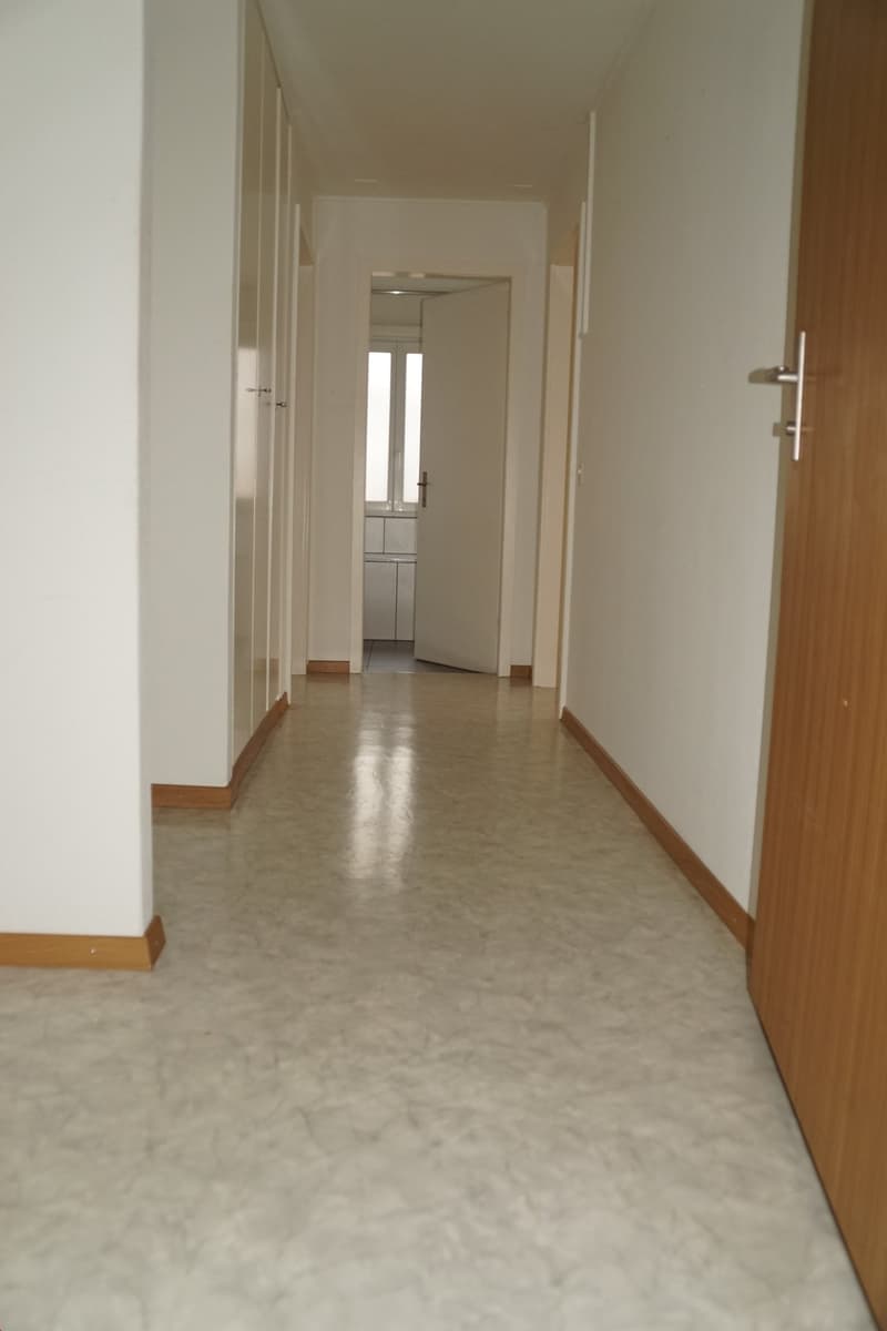 À louer appartement 3 pièces sur Allmendstrasse à Solothurn (6)