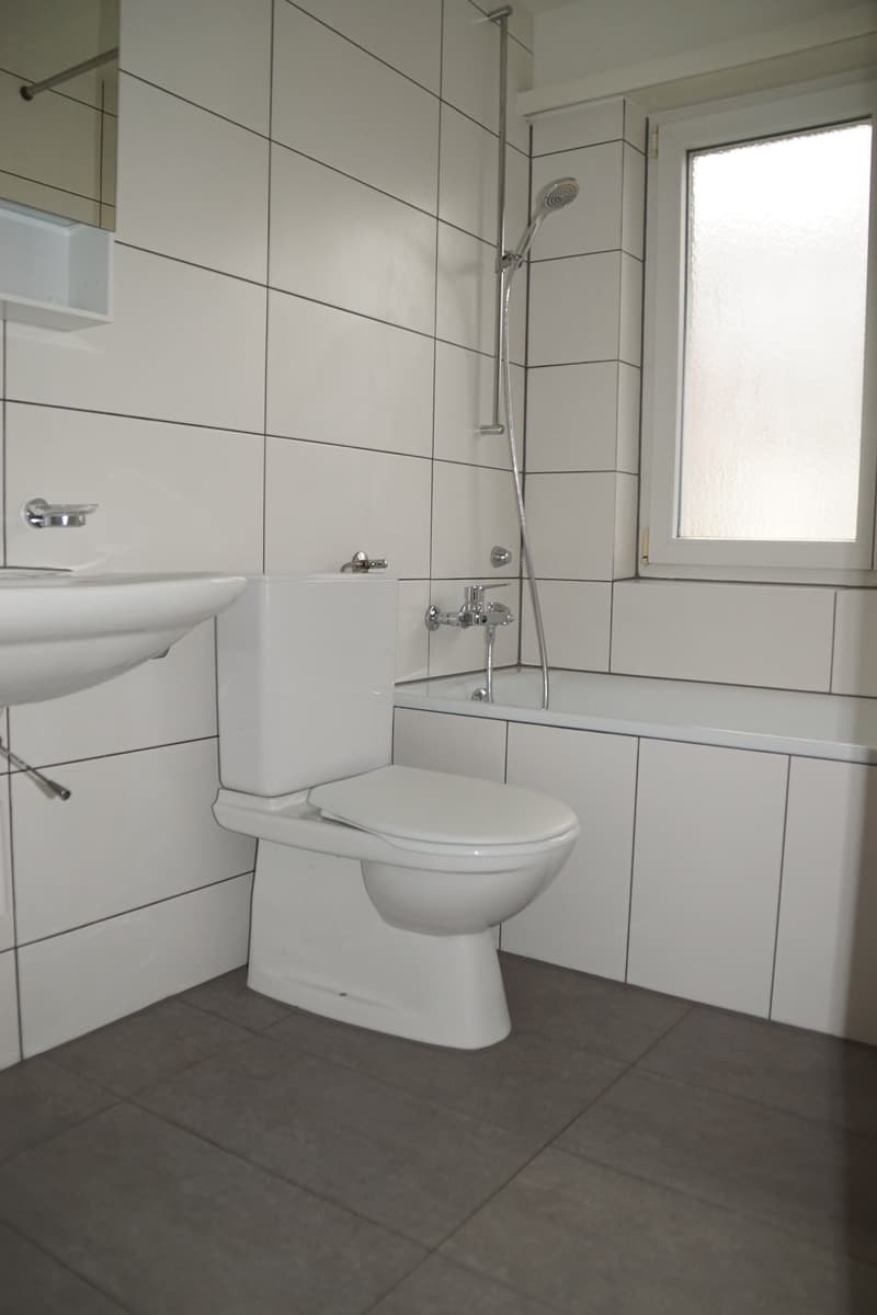 À louer appartement 3 pièces sur Allmendstrasse à Solothurn (9)