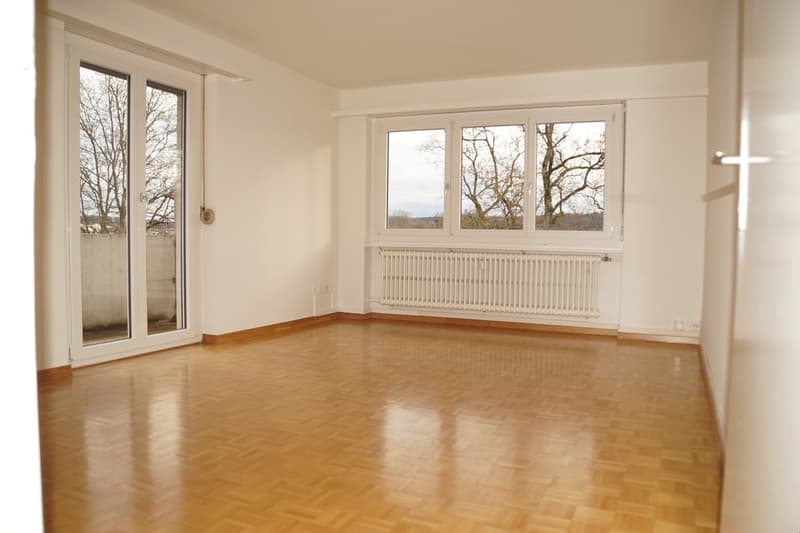 À louer appartement 3 pièces sur Allmendstrasse à Solothurn (3)