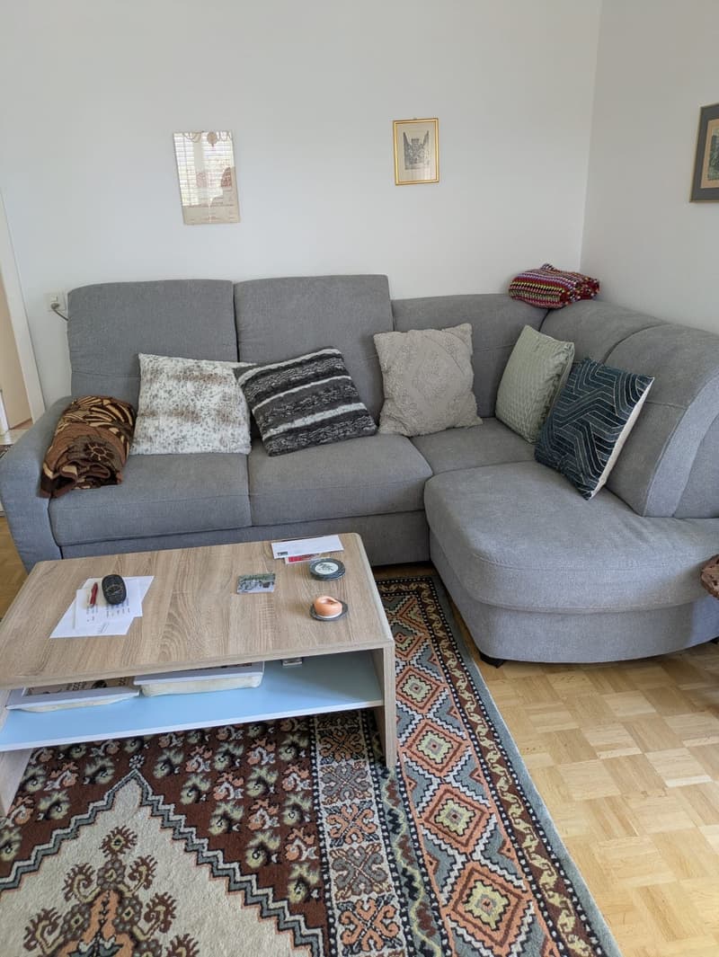 À louer appartement 3 pièces sur Allmendstrasse à Solothurn (12)
