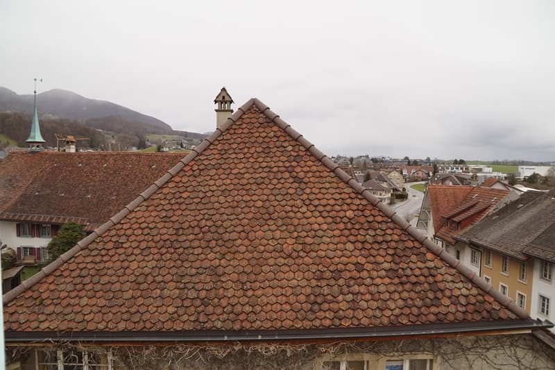 In affitto appartamento 2.5 locali con galleria a Wiedlisbach (2)