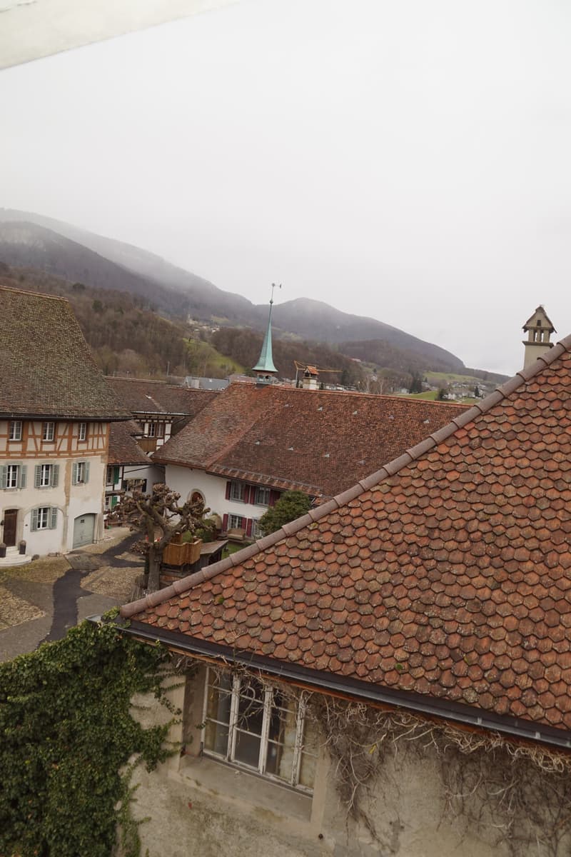 In affitto appartamento 2.5 locali con galleria a Wiedlisbach (1)