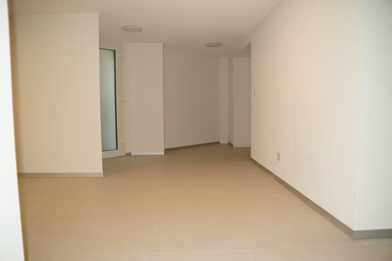 Appartamento accogliente di 2 camere ad Adelboden (4)