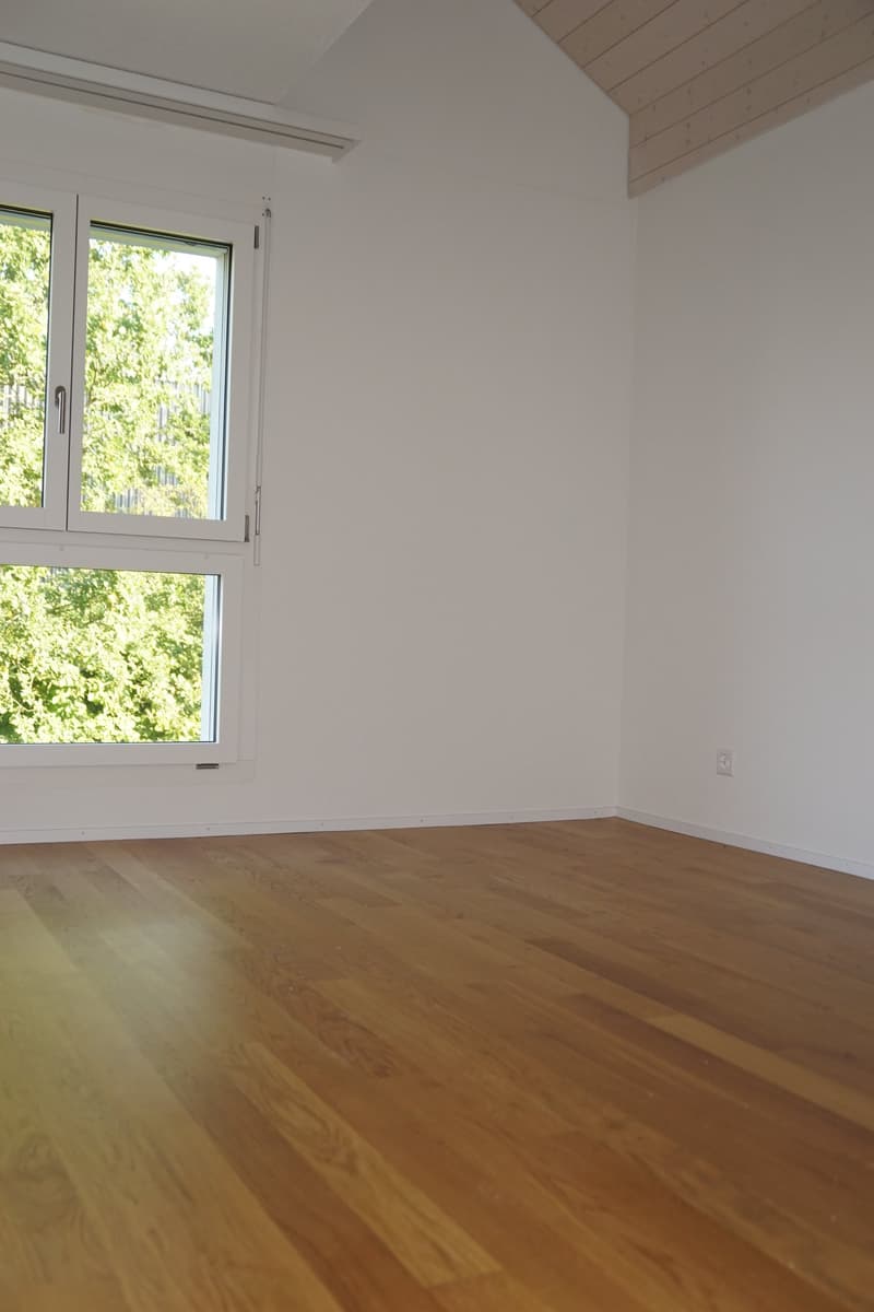 In affitto appartamento duplex 4.5 locali (5)