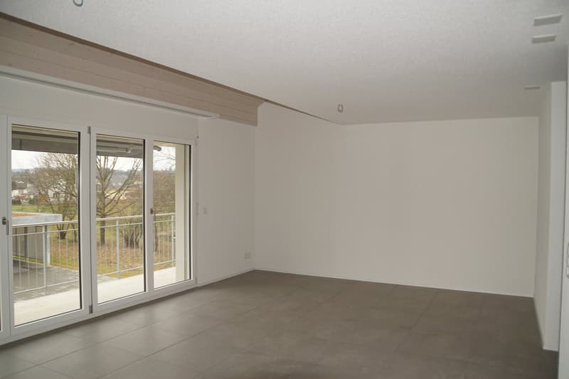 In affitto appartamento duplex 4.5 locali (3)
