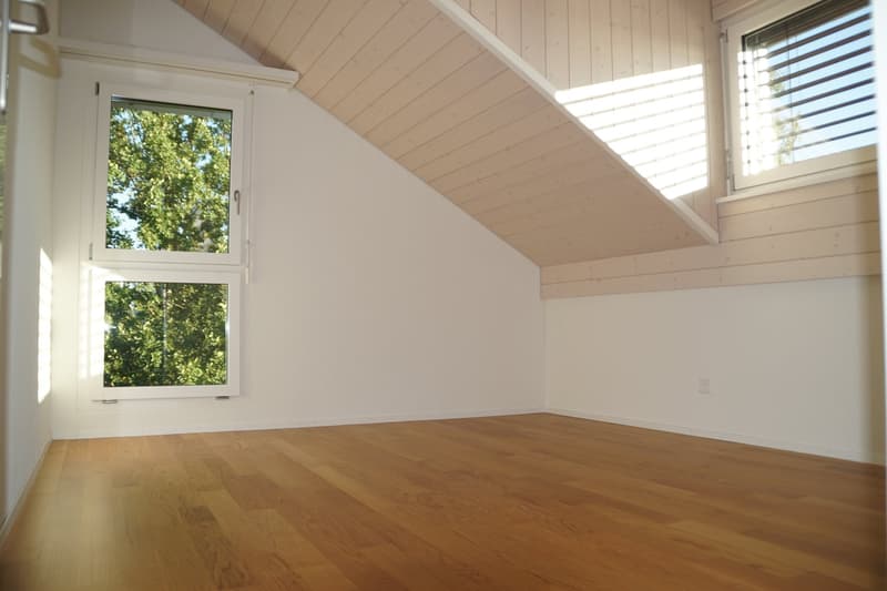 In affitto appartamento duplex 4.5 locali (6)