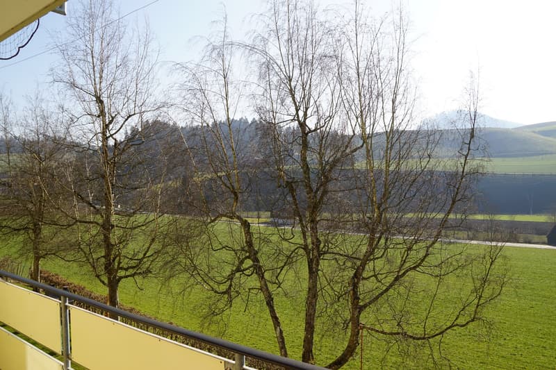 To rent 4 room apartment near Lützelflüh (1)