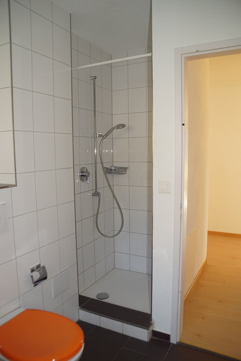 To rent 4 room apartment near Lützelflüh (8)