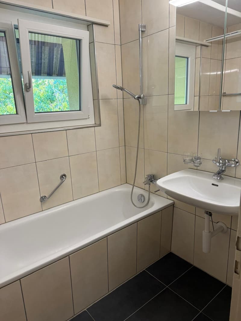 Zu vermieten im Hölzli 33 eine 4 1/2 Zimmerwohnung (9)