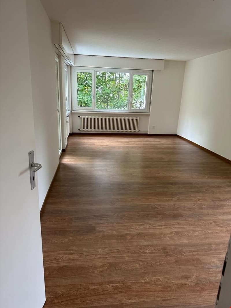 Zu vermieten 41/2 Zimmerwohnung im Hölzli 33 in St. Gallen (7)