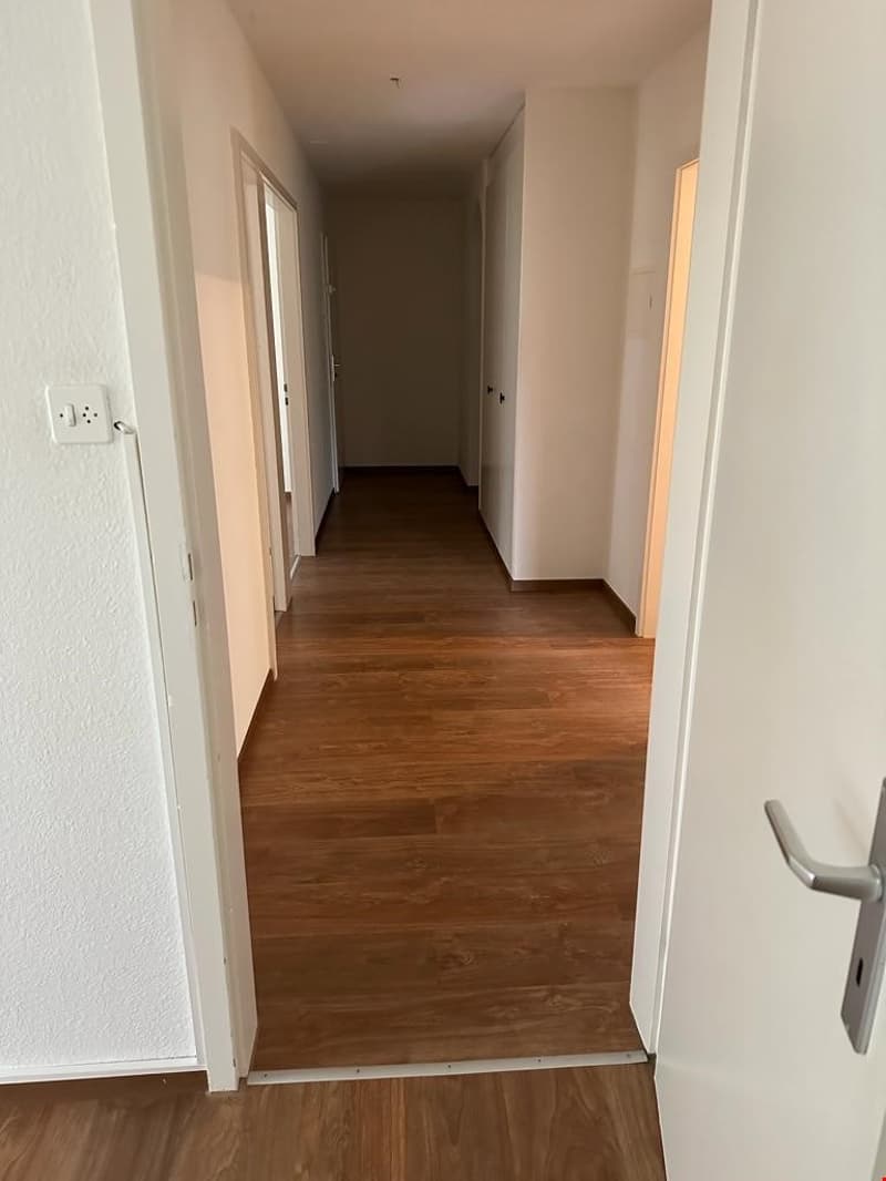 Zu vermieten 41/2 Zimmerwohnung im Hölzli 33 in St. Gallen (4)