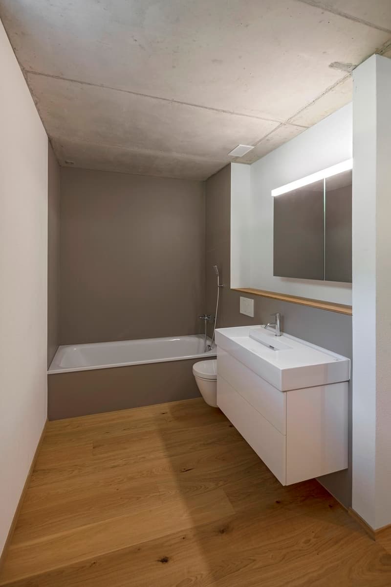 First-time rental 4.5-room apartment in a naturally preserved neighborhood (4)