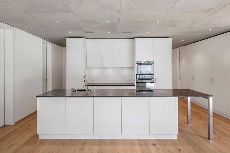 Appartements top modernes - Première occupation d'un nouveau bâtiment à Steg / VS (9)