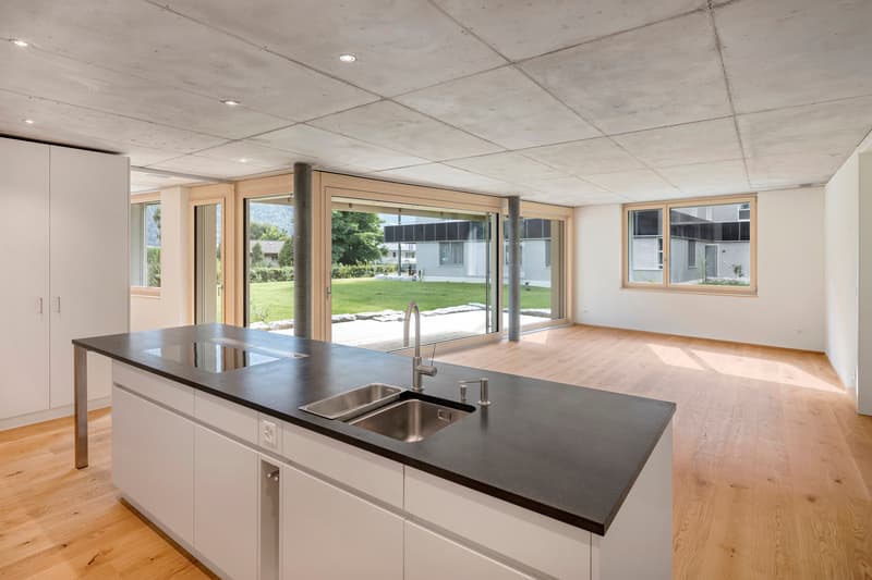 Great 4.5 room apartment in a beautifully natural quarter (2)