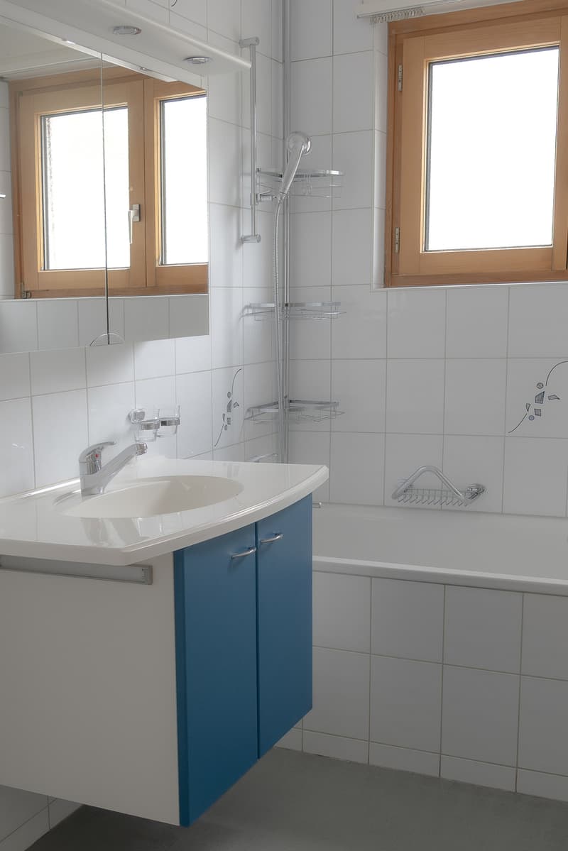 Centrally located 3.5-room apartment with charm (8)