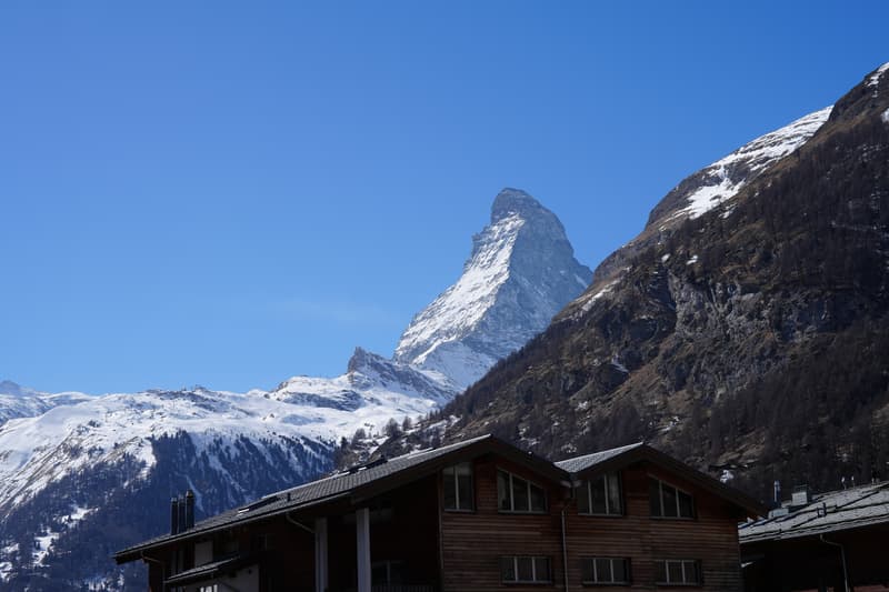 Lesviolettes_210323 (12 von 16).jpg