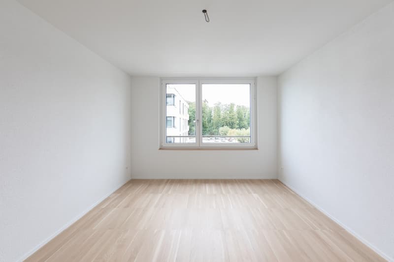Zimmer.jpg