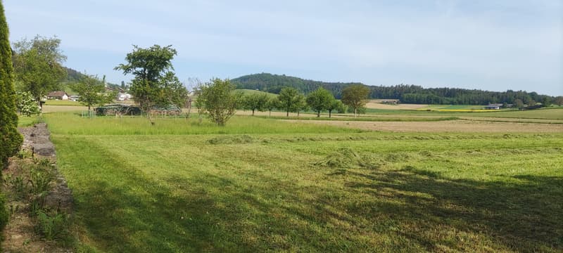 Bauland in Windlach (2)