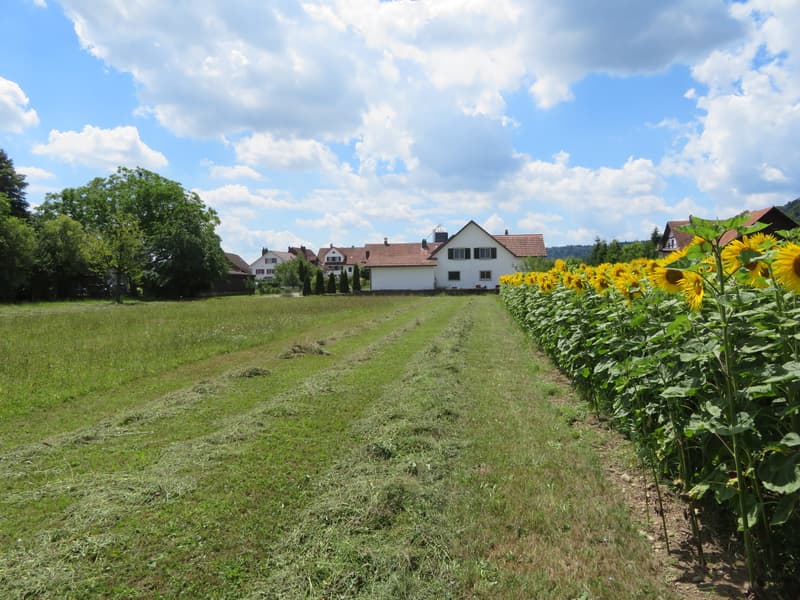 Bauland in Windlach (1)