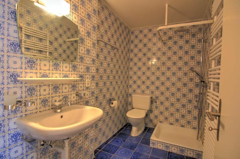 Apartment 5.5 rooms in Mézières VD (9)