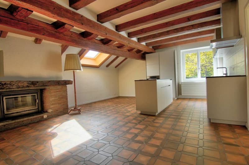 Apartment 5.5 rooms in Mézières VD (1)