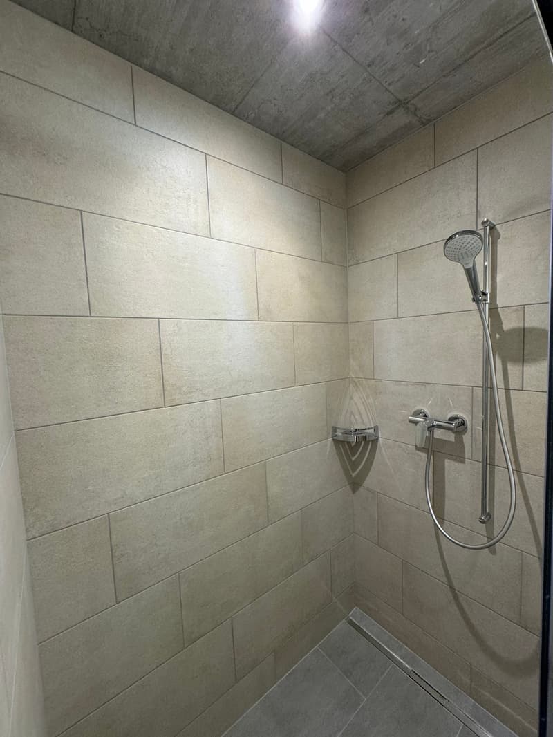 Mobilierte Neubauwohung Savognin (34)