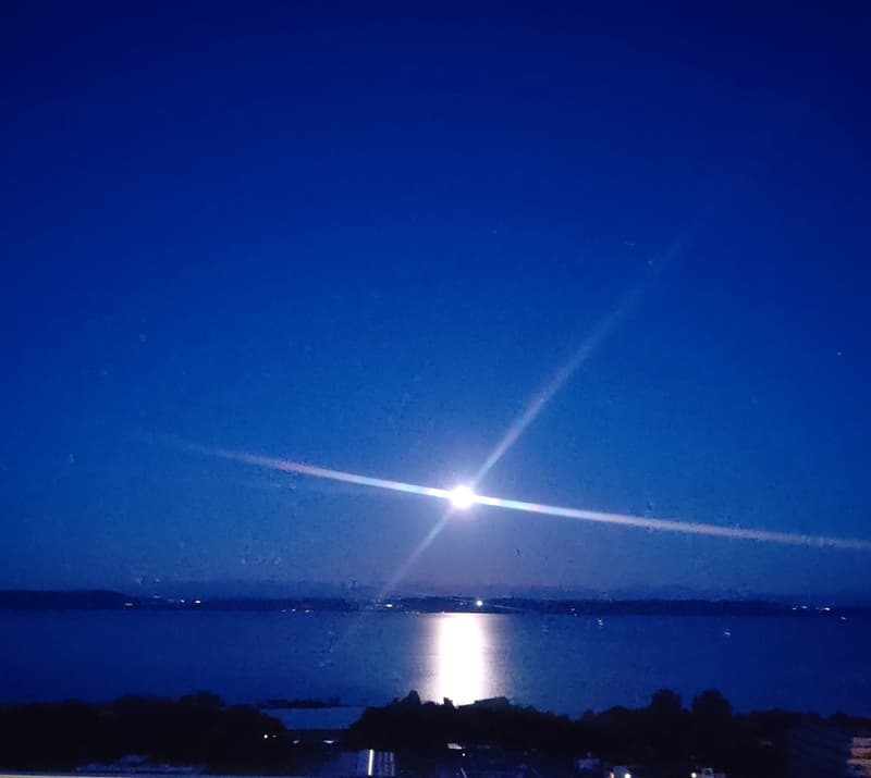 Panoramic view from a high rise building overlooking a body of water, moonlight reflecting off the water, silhouettes of trees and distant buildings in the horizon