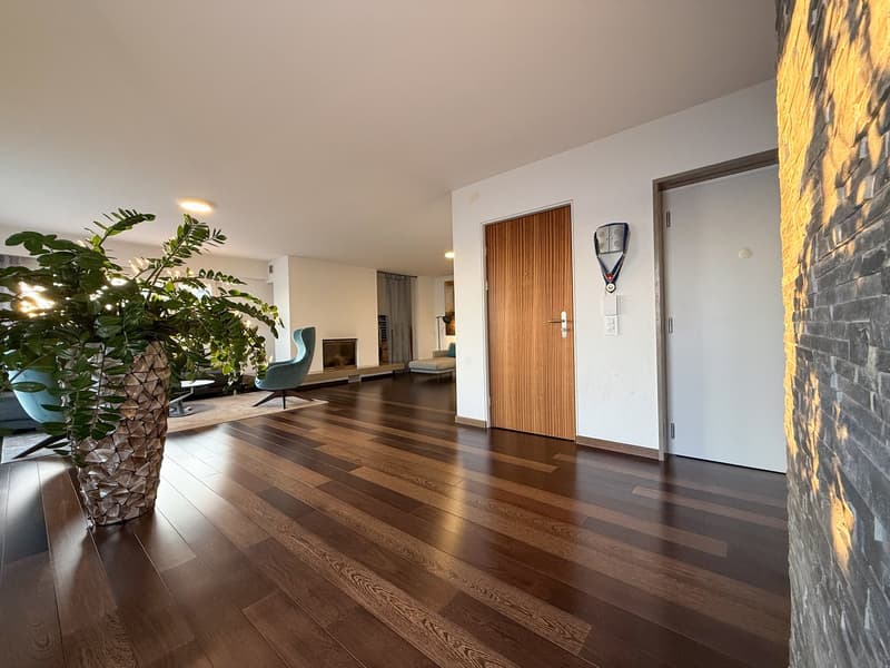 Hardwood floor, two doors, fireplace, plant, modern decor